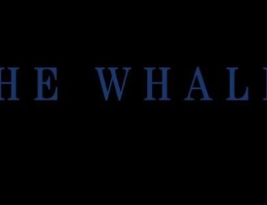 'The Whale' OTT Release Details: Oscar-nominated film 'The Whale' now streaming on SonyLIV