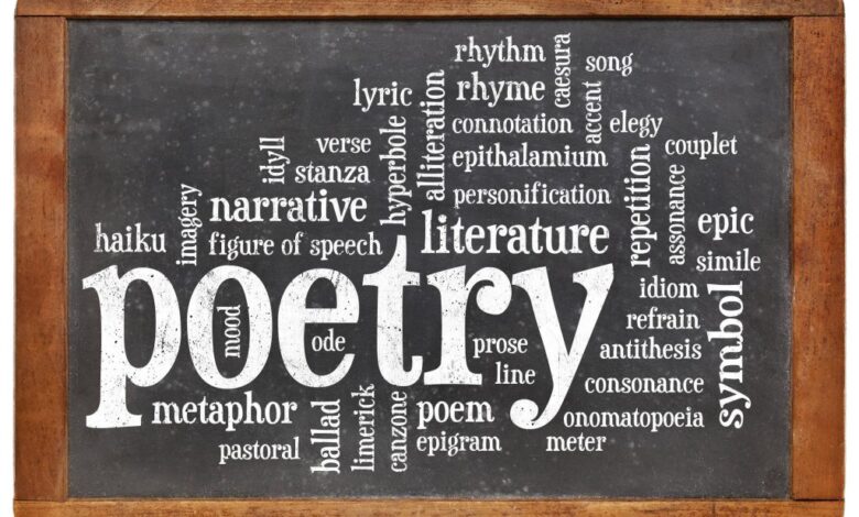 How To Appreciate Poetry English Grammar Poetry Basics